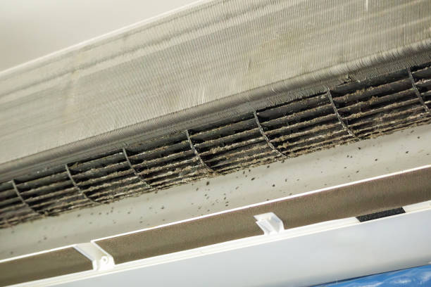 Best Ductwork Cleaning Services  in Hypoluxo, FL